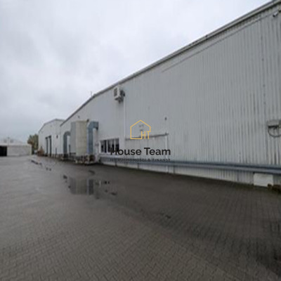 Komercyjny na sprzedaż