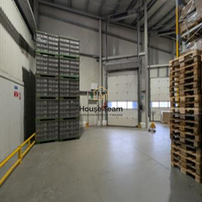 Komercyjny na sprzedaż