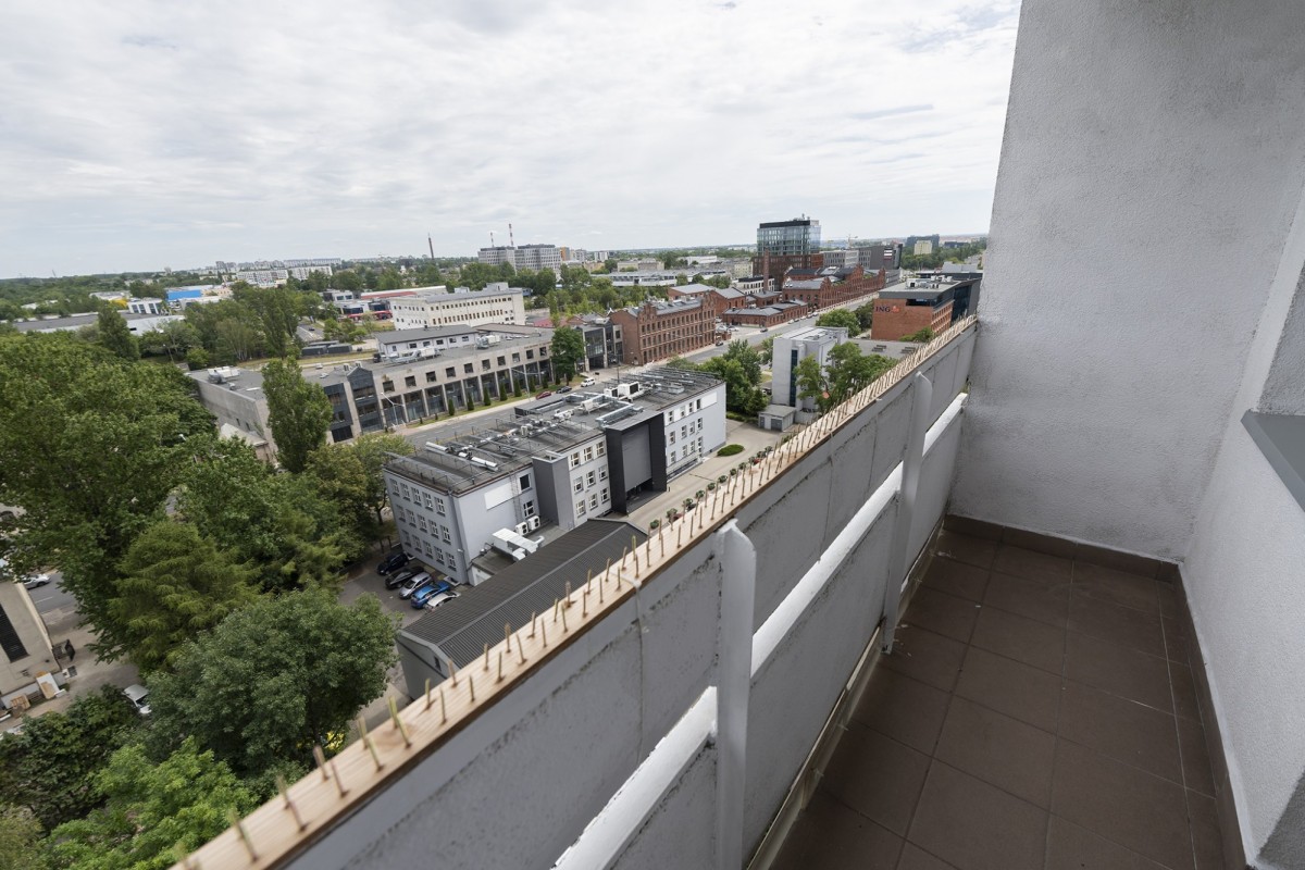 Mieszkanie na wynajem