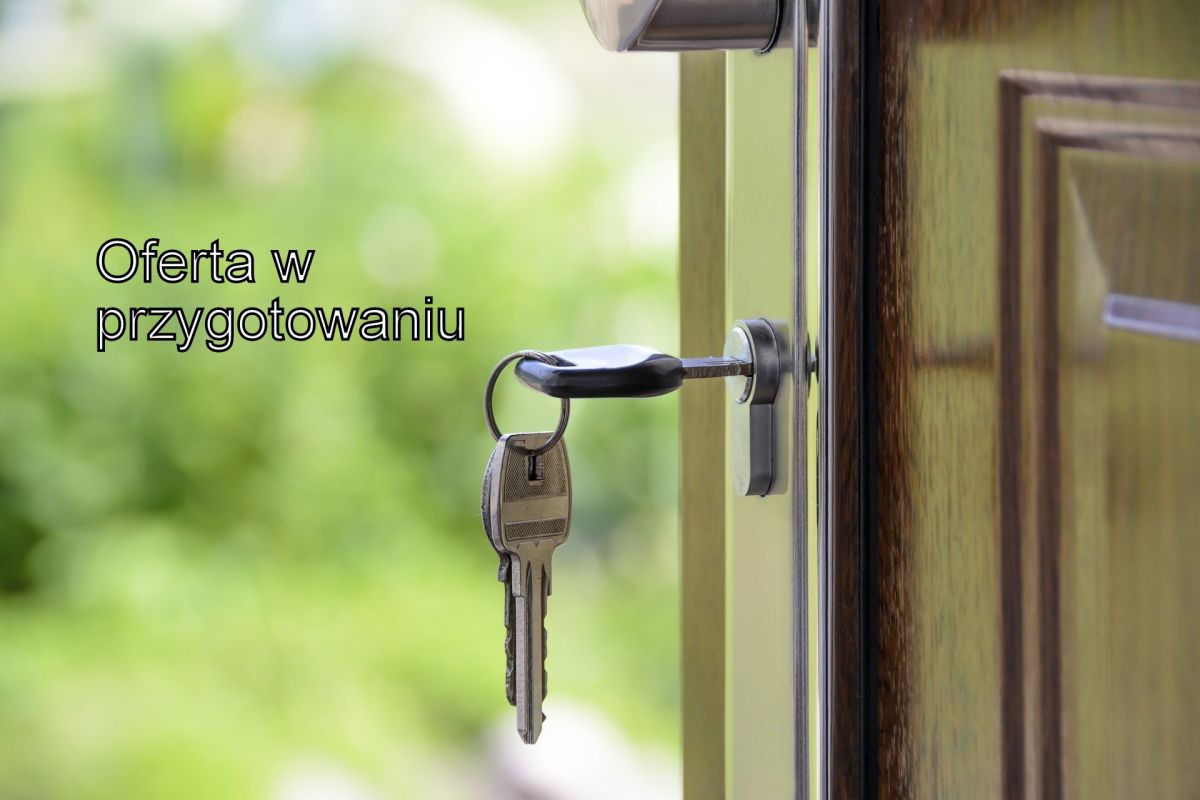 Komercyjny na wynajem