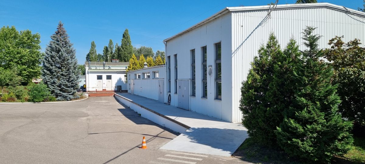 Komercyjny na wynajem