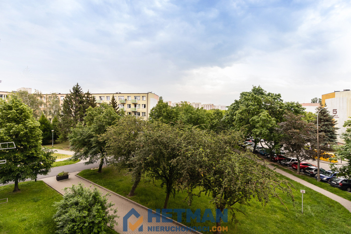 Mieszkanie na wynajem