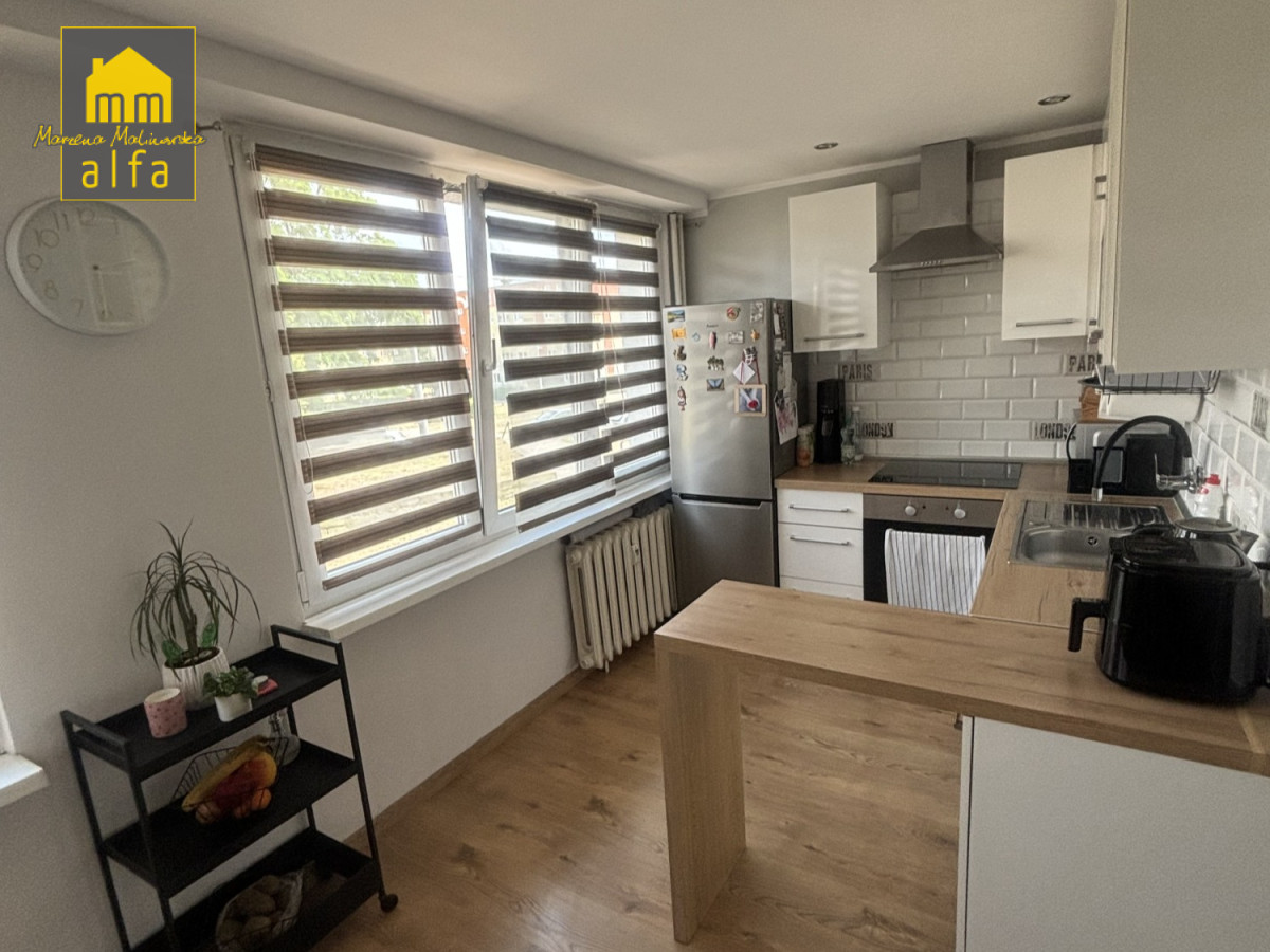 Mieszkanie na wynajem