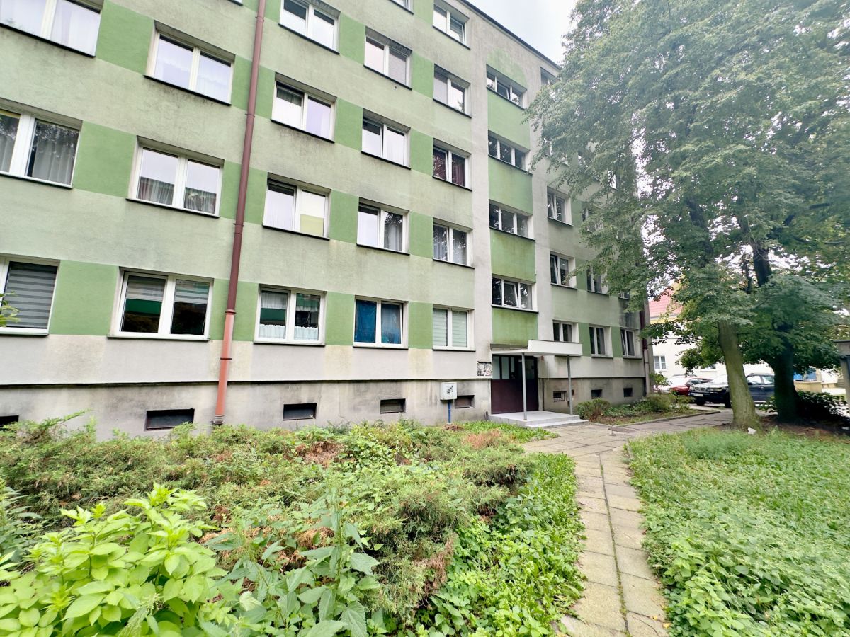 Mieszkanie na wynajem