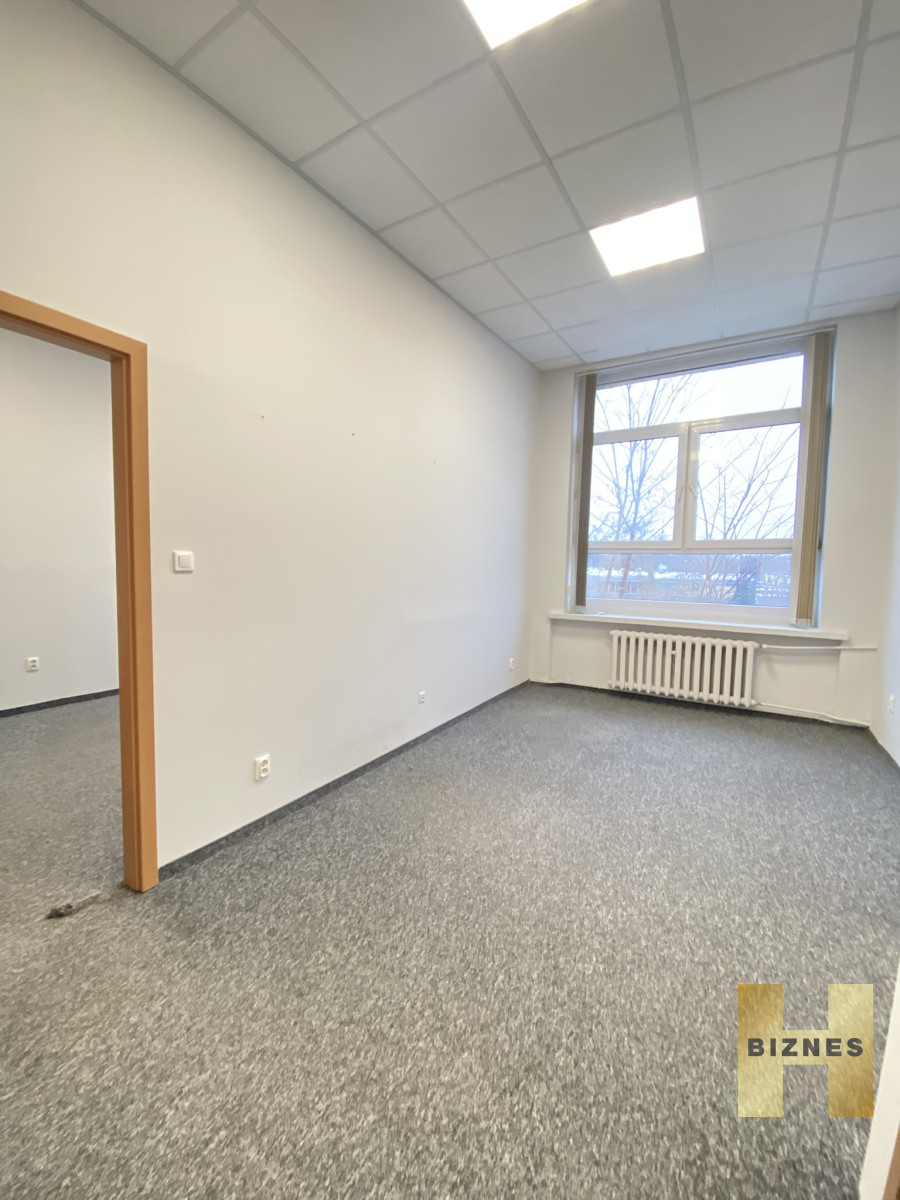 Komercyjny na wynajem