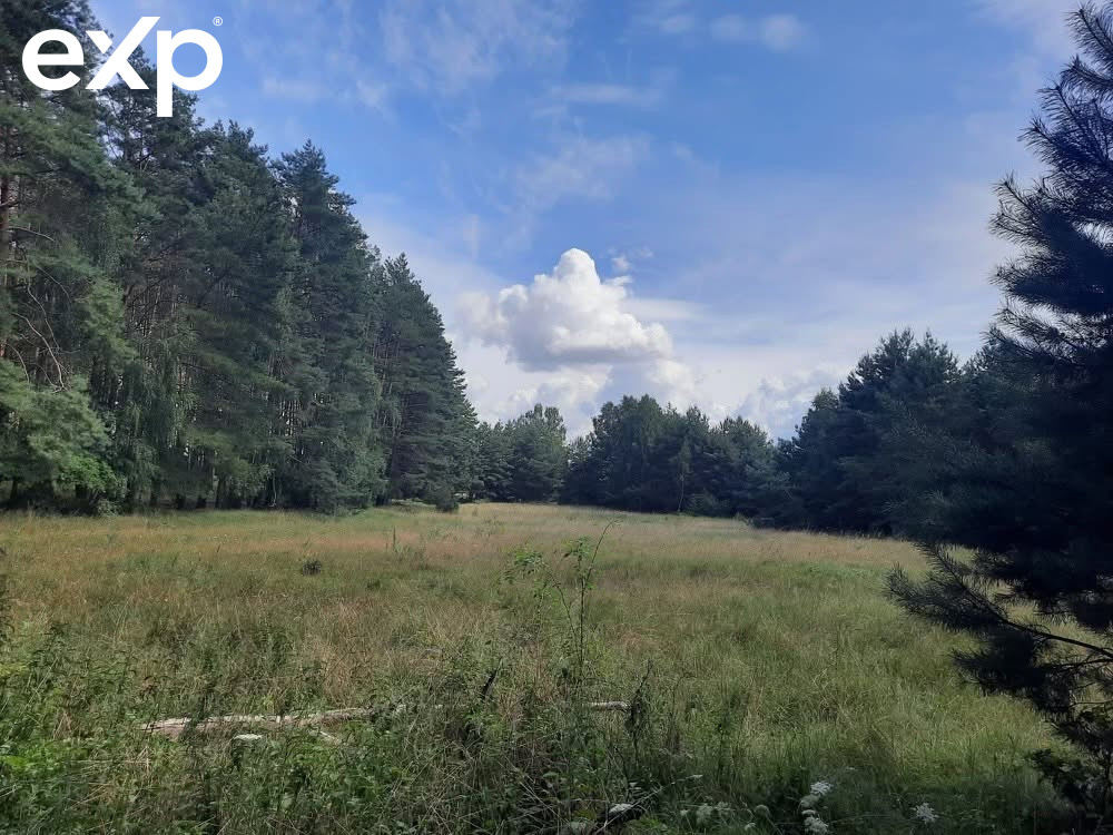 Zajączkowo
