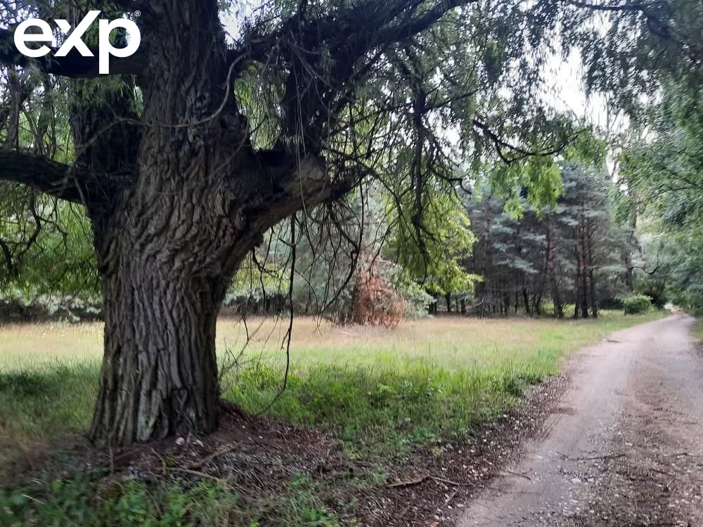 Zajączkowo