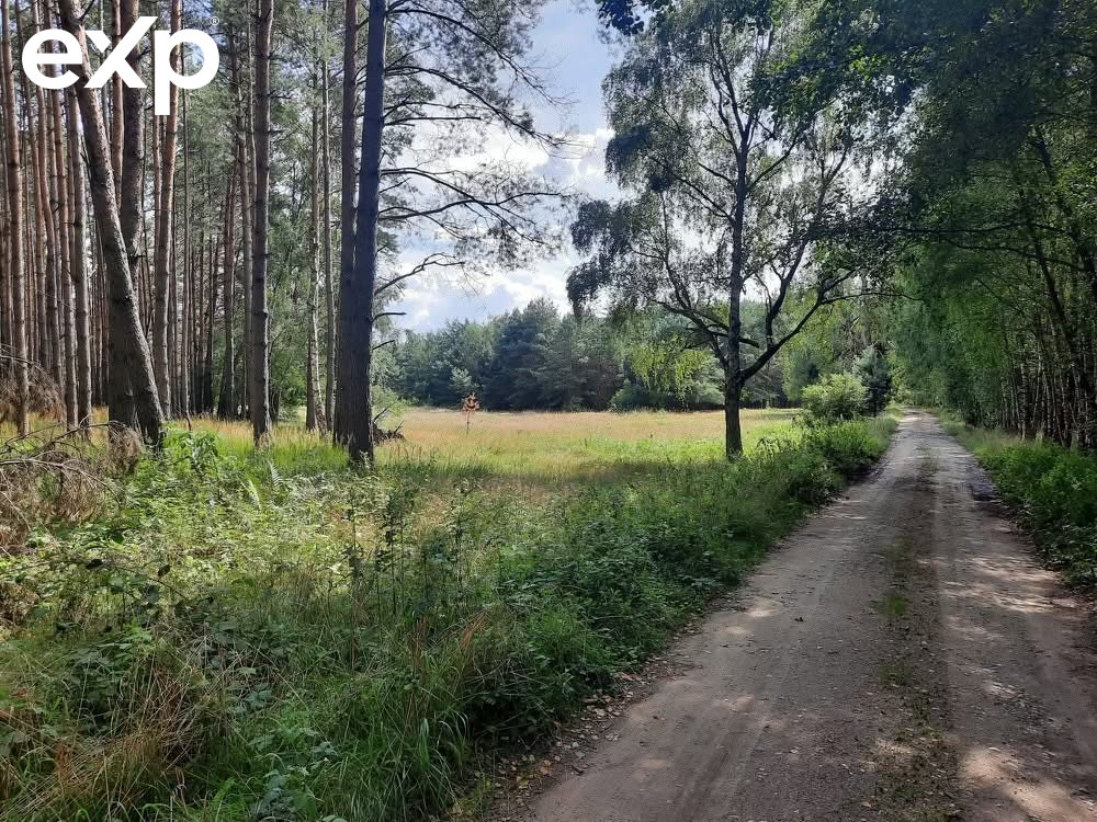 Zajączkowo