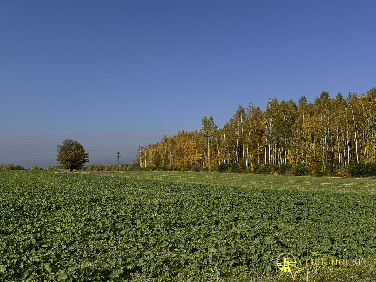 Działka na sprzedaż