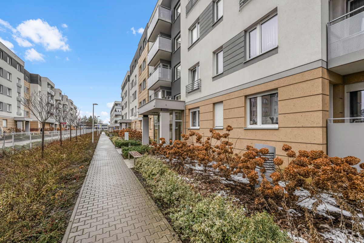 Mieszkanie na wynajem