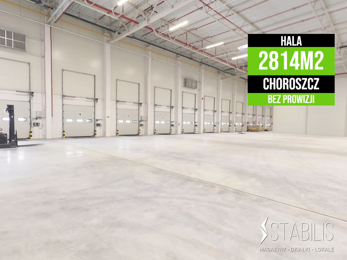 Komercyjny na wynajem