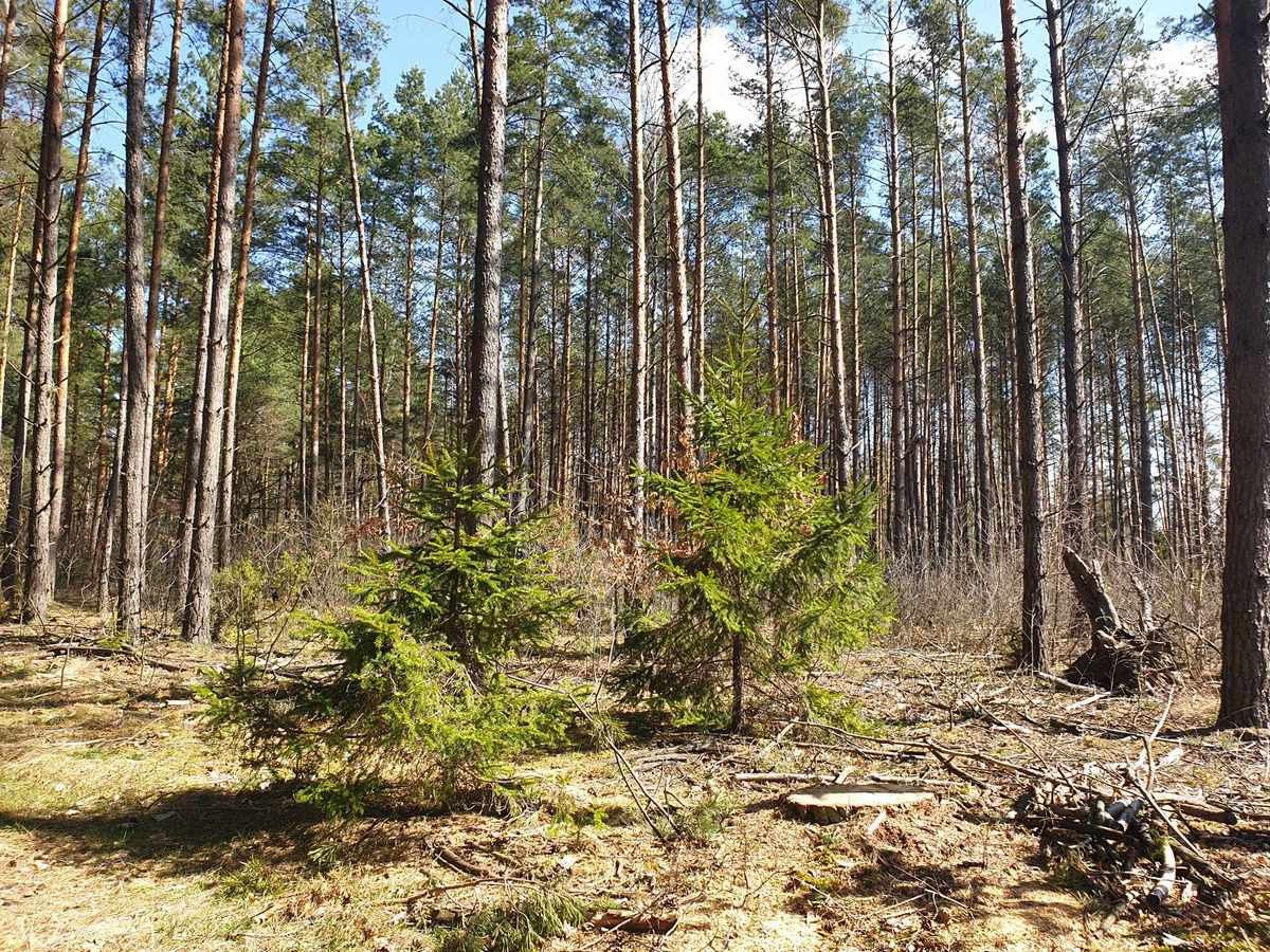 Działka na sprzedaż