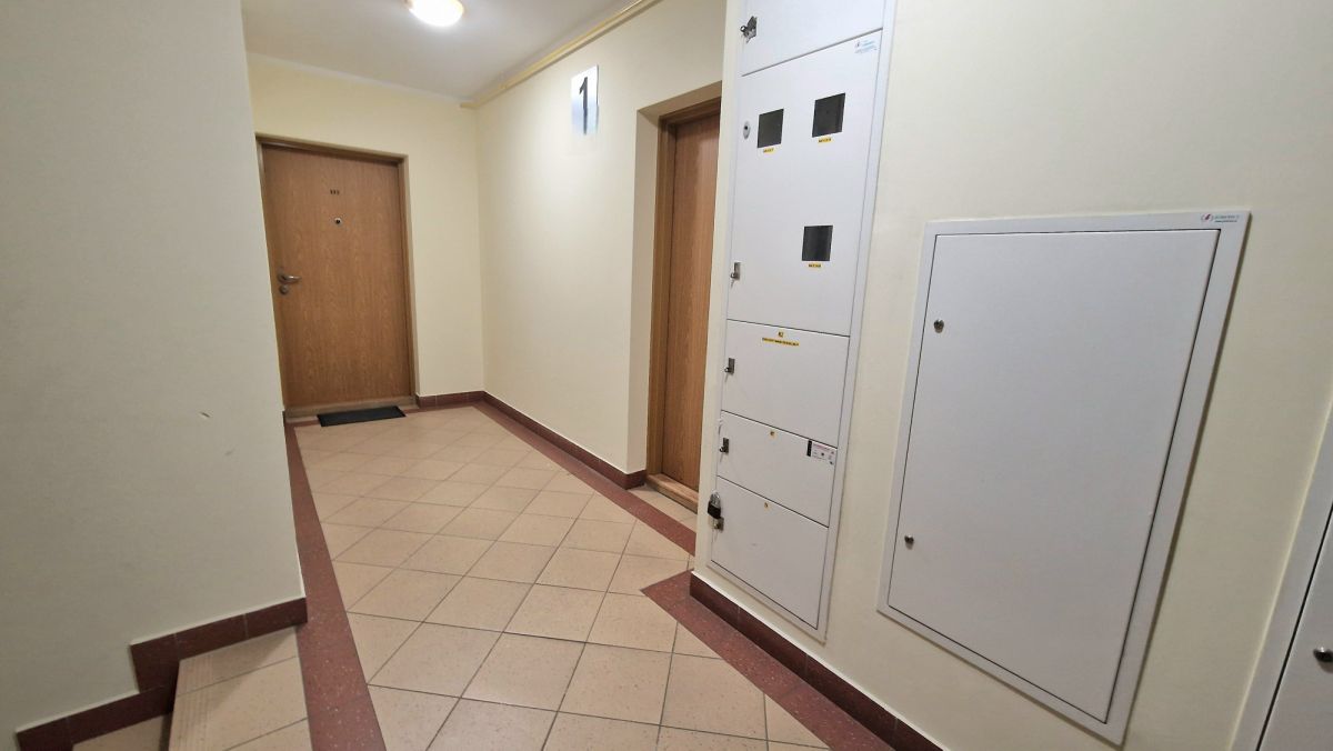 Mieszkanie na wynajem