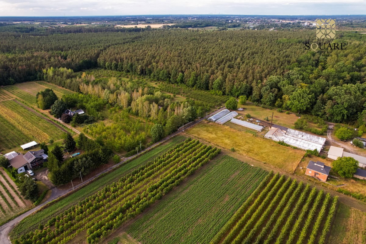 Działka na sprzedaż