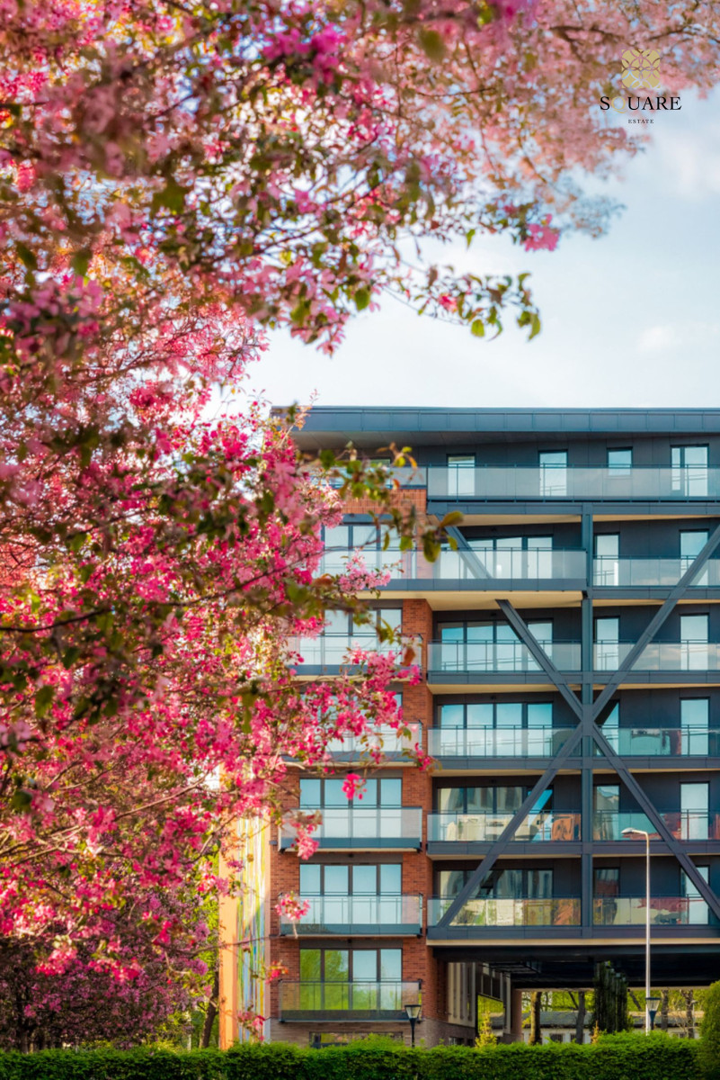 Mieszkanie na wynajem