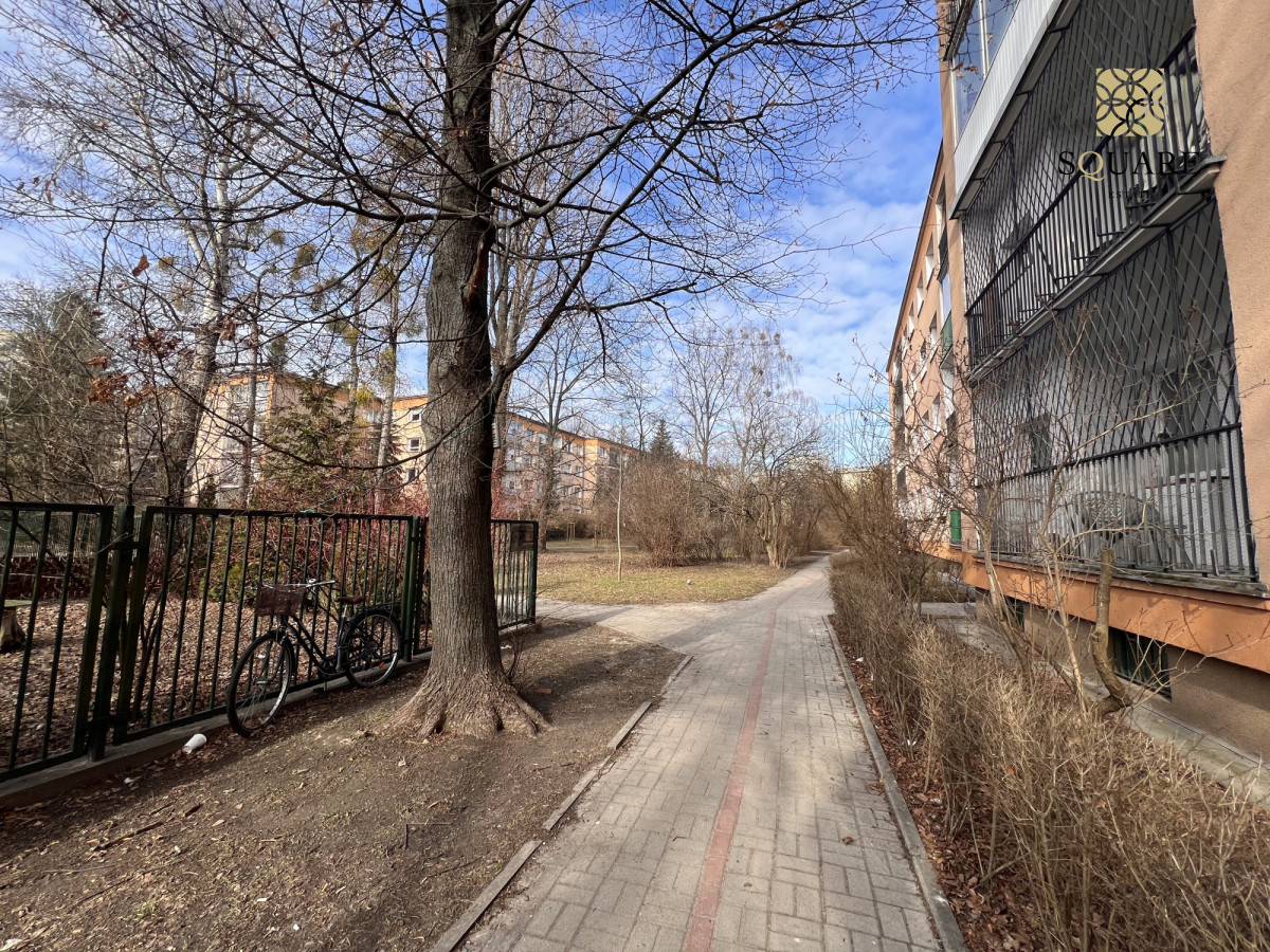 Mieszkanie na wynajem