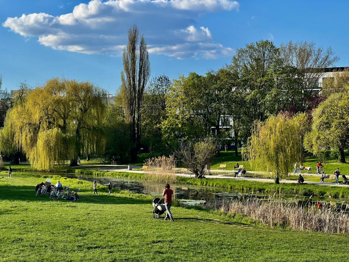 Mieszkanie na wynajem