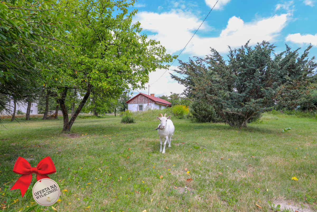 Działka na sprzedaż