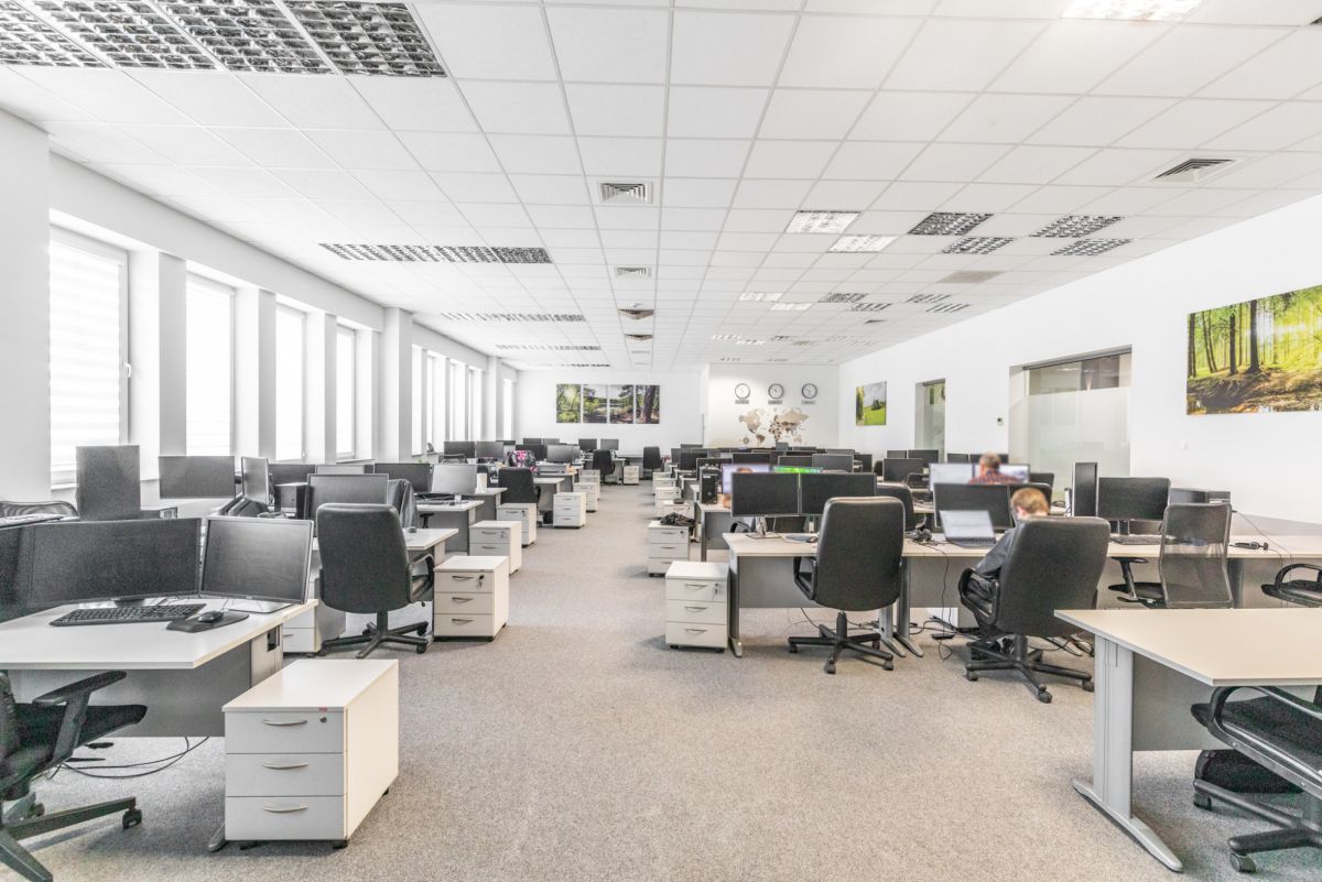 Komercyjny na wynajem