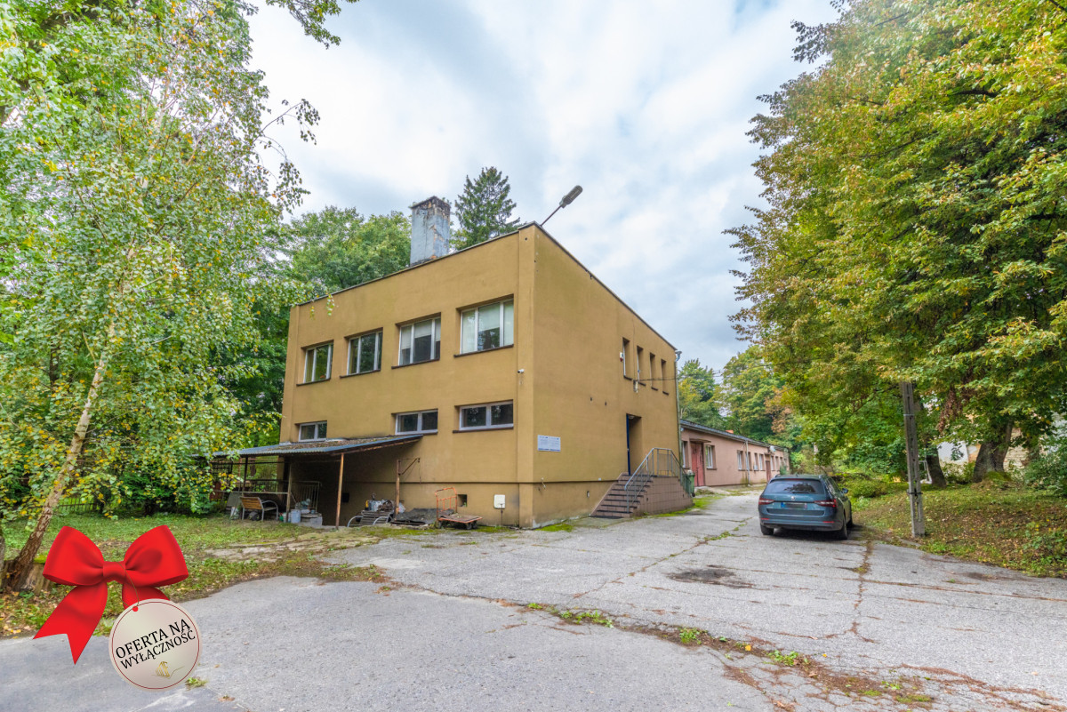 Komercyjny na wynajem