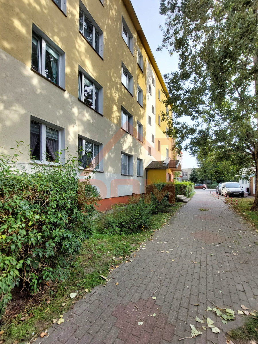 Mieszkanie na wynajem