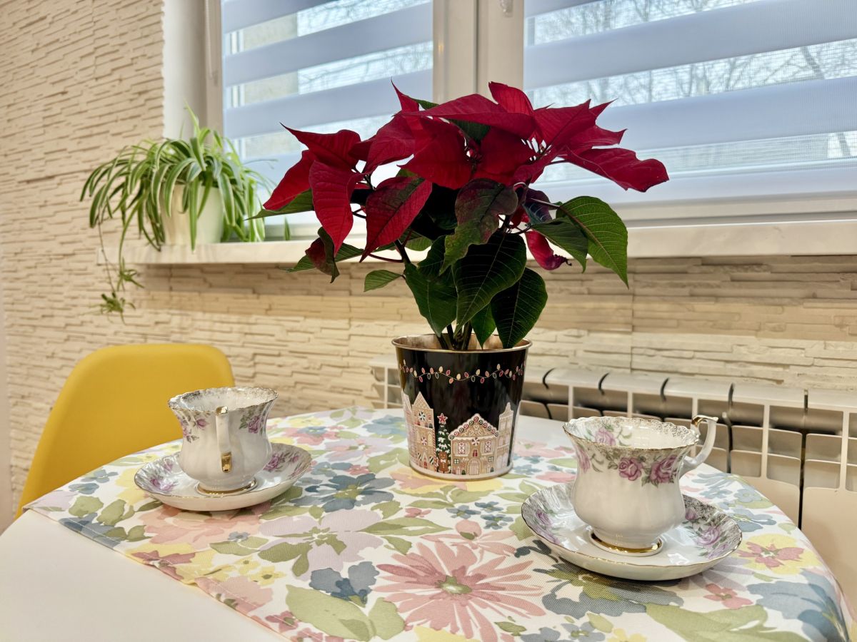 Mieszkanie na wynajem