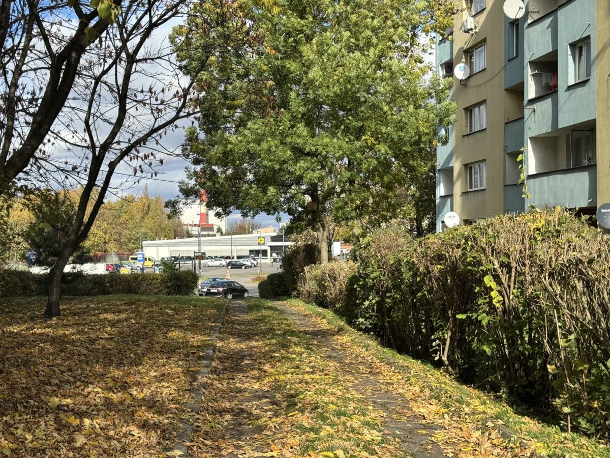 Mieszkanie na wynajem