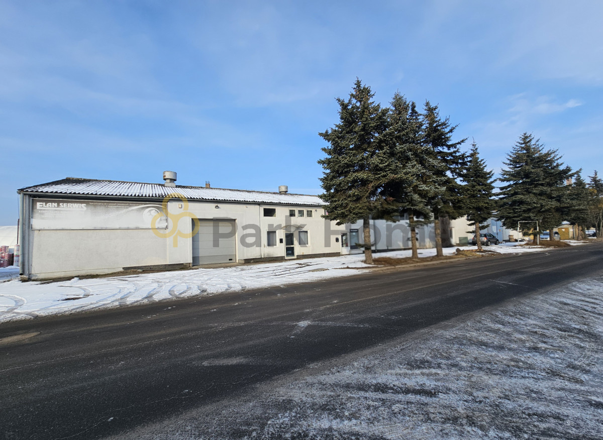 Komercyjny na wynajem