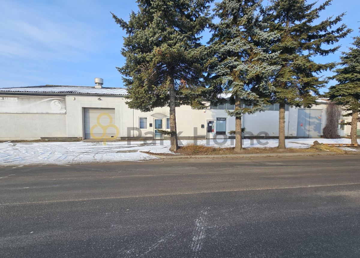 Komercyjny na wynajem