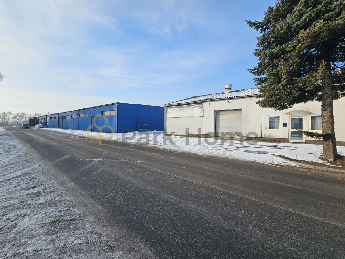 Komercyjny na wynajem