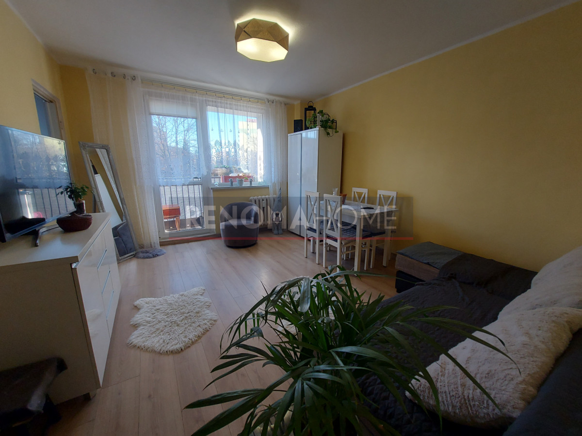 Mieszkanie na wynajem