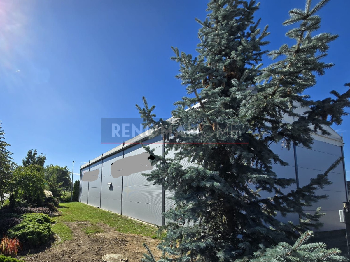 Komercyjny na wynajem