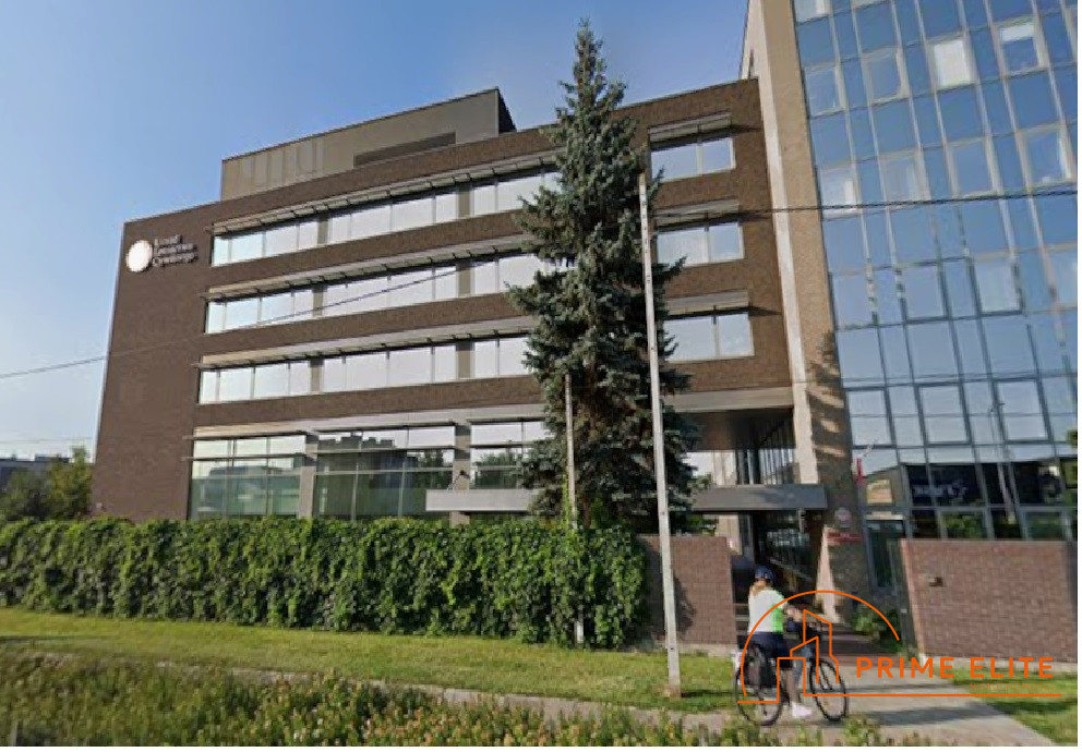 Komercyjny na wynajem