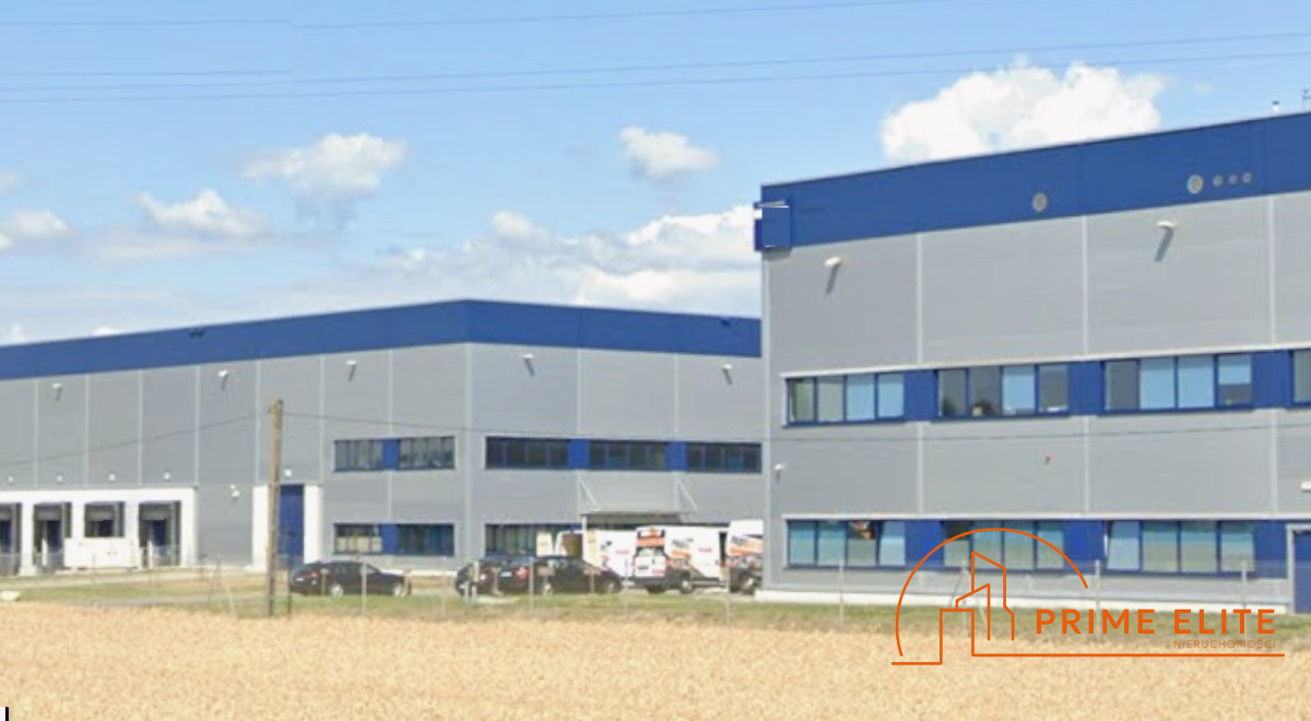 Komercyjny na wynajem