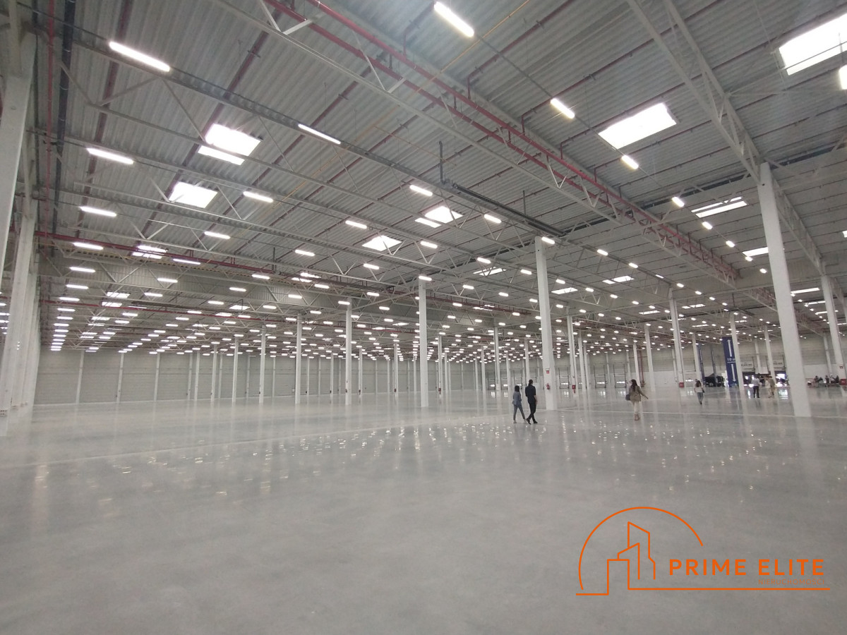 Komercyjny na wynajem