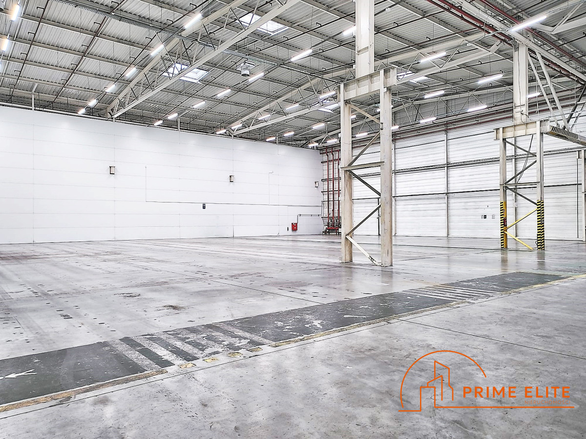 Komercyjny na wynajem