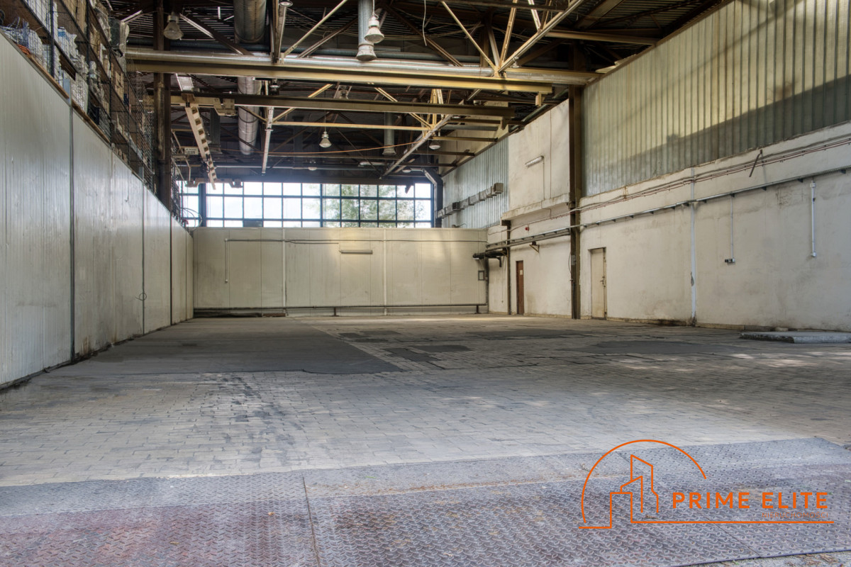 Komercyjny na wynajem