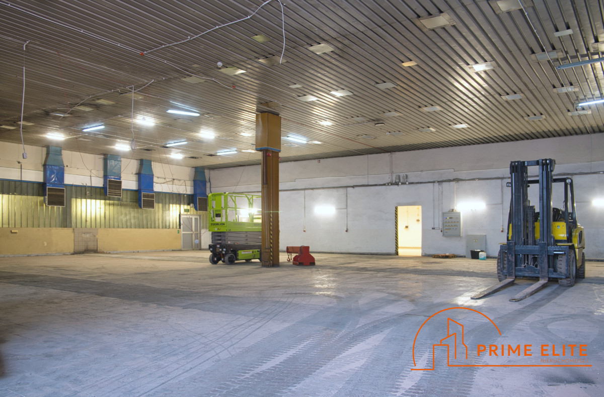 Komercyjny na wynajem