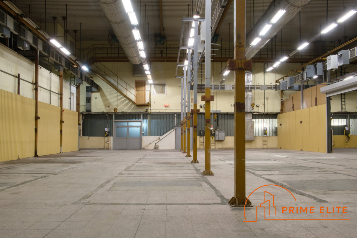 Komercyjny na wynajem