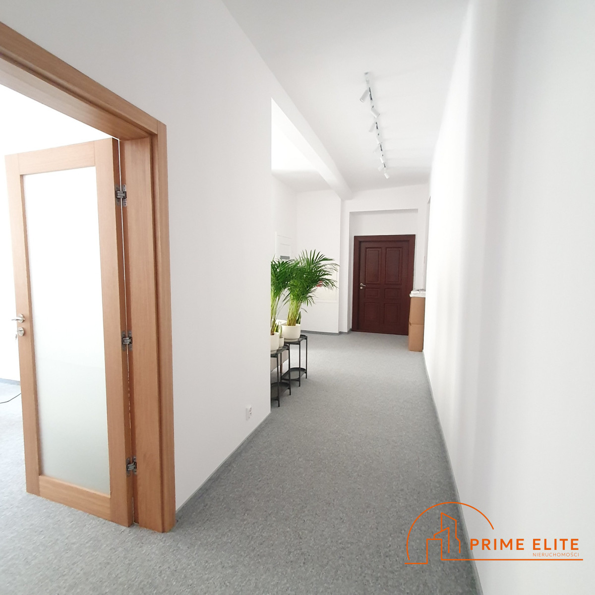 Komercyjny na wynajem