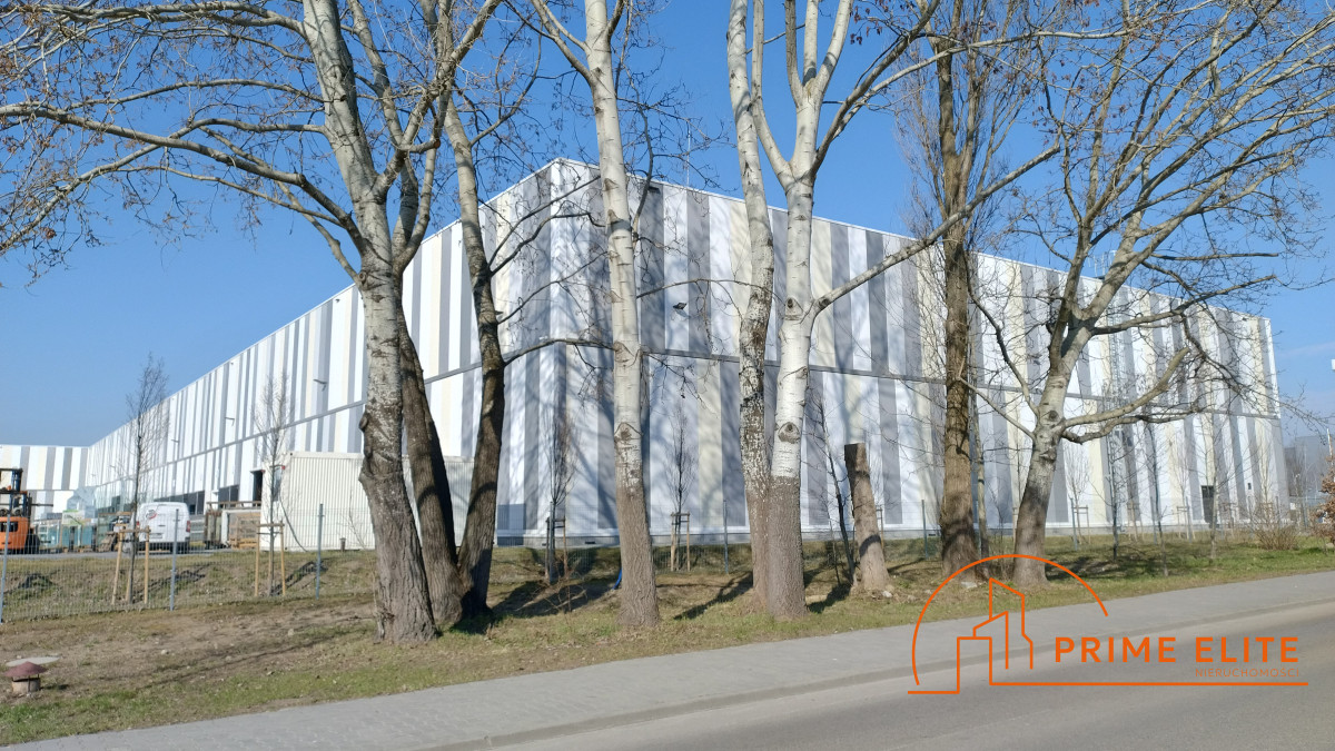 Komercyjny na wynajem