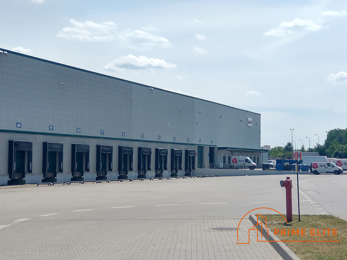 Komercyjny na wynajem