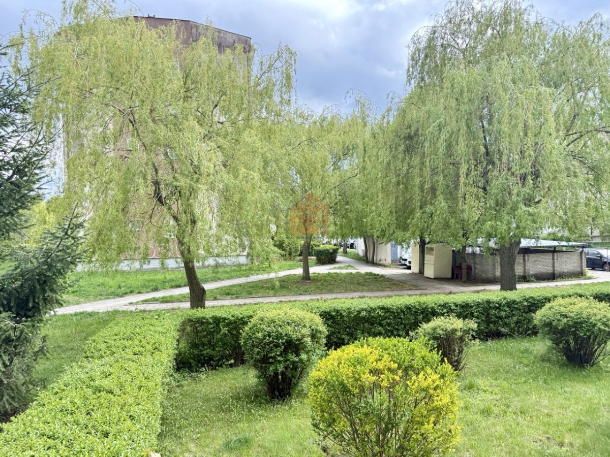 Mieszkanie na wynajem