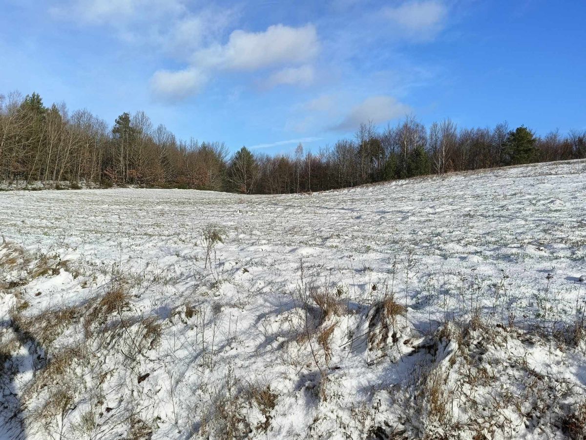 Działka na sprzedaż