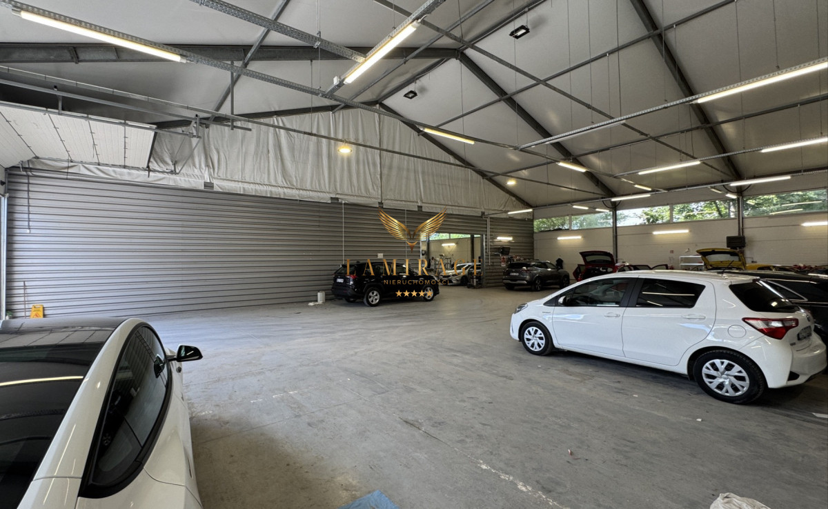 Komercyjny na wynajem