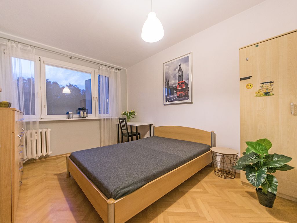 Mieszkanie na wynajem