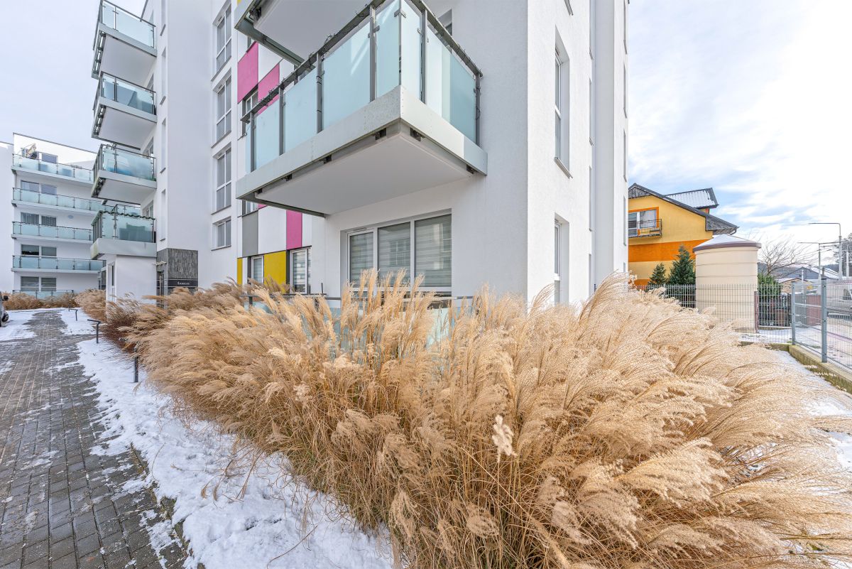 Mieszkanie na wynajem