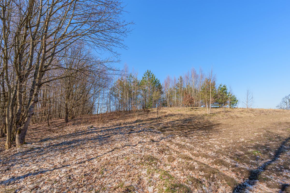 Działka na sprzedaż