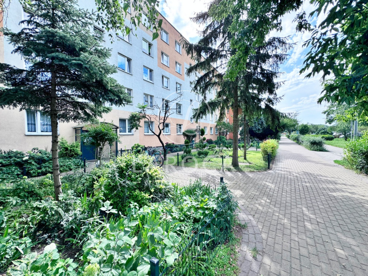 Mieszkanie na wynajem