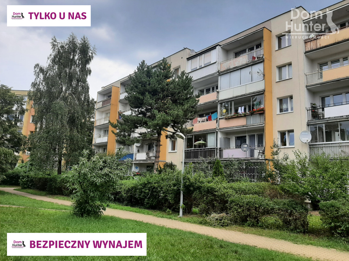 Mieszkanie, wynajem, Zaspa, Gdańsk. zdjęcie 15